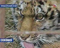 "��������� ����" �� ������ (�����)