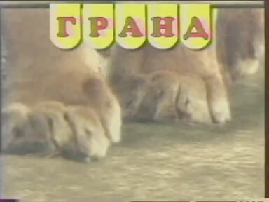 ��� "������� ����"