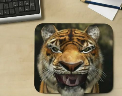 ���� �����