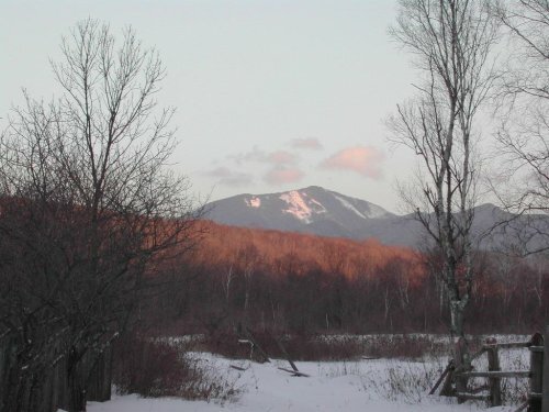 ���� ��������. ������������ ����� ����������� ����.