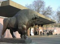 � �������� �������� ��-�� ������������� ������� �������� ������� ����