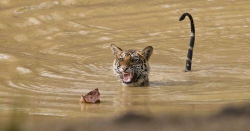 ����������� ������� ���������� ������ ����� � ��������� ������������ ����� �����������