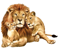 ������� ���!