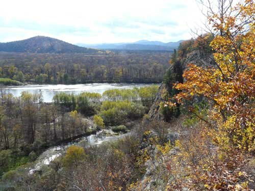 ������������ ���� "���������� �������"