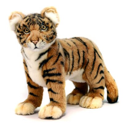 ������� ���� � ������ � �����