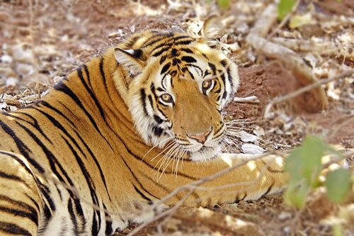 �������� ��������� �������� ����������� � ������� � �����