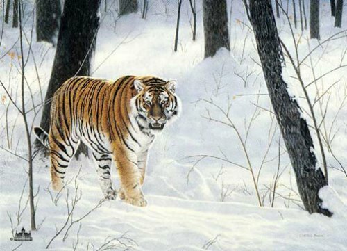 �������� ������������ ����