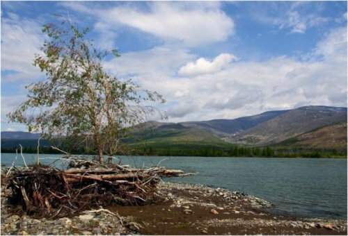 �������� ������������ ����