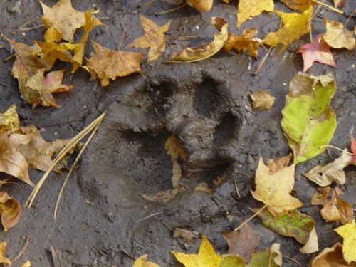 ������������ ���� "��� �����"