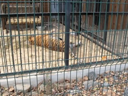 ������� � �������� ��� ������������� ������ ����������