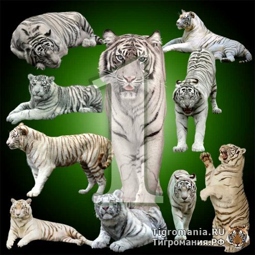 ����� ����������� ����� � PSD