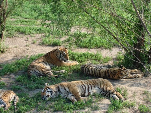 �������� ������ � ��������� ����������� ������� ������������� ������