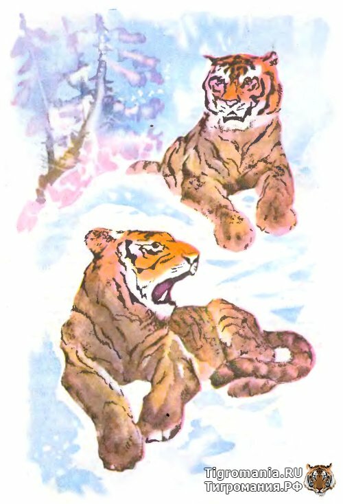 � ������ ������