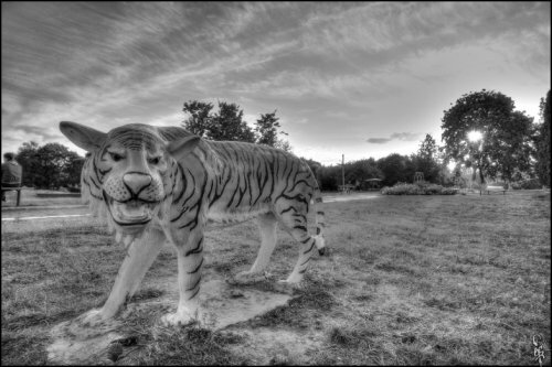 ����������������� ���� (����)