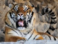 ��������� ����� � �������� ���������� ����