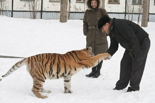 ������������� ������� ����� ����� ����������� � ��������