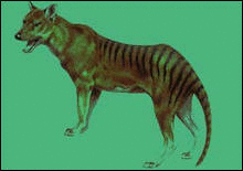 ����������� ����� ���������