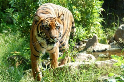 ������ ��������...