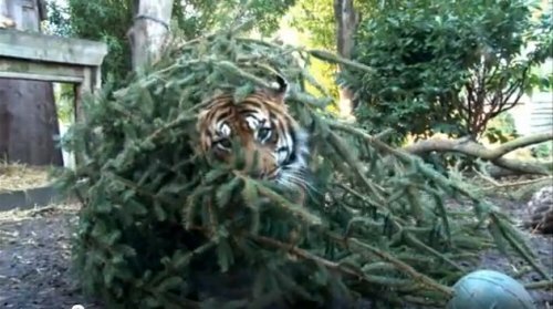 � ����� � ���������� �������� � ��������� ������� (�����)