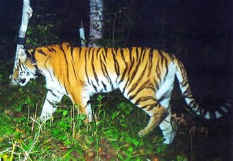 ������ ������� � ������ ���������