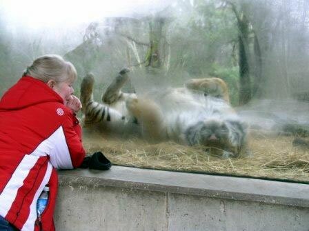 ���� ������