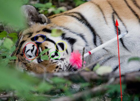 ������� �������� ������ � ������ �������� �������