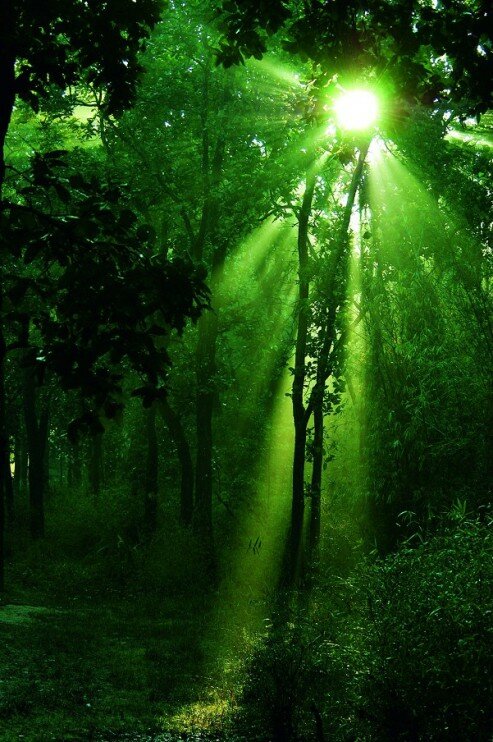 ������������ ����� �����