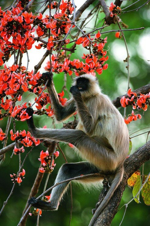 ������������ ����� �����