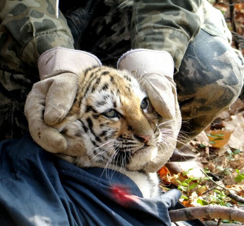 ��� ������� ���� � ���� ����