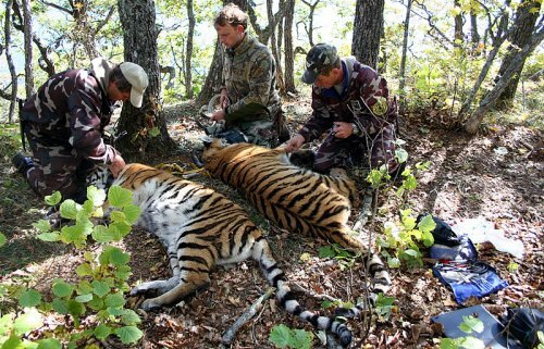 ��� ������� ���� � ���� ����