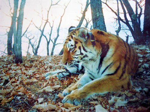 ��� ������� ���� � ���� ����