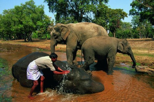 ������������ ����� �����