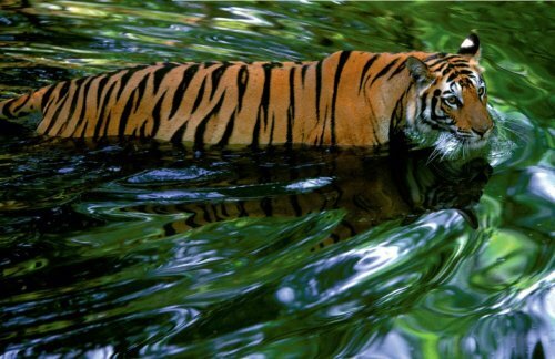 ������������ ����� �����