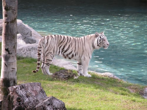 ����. ��������� ��������.