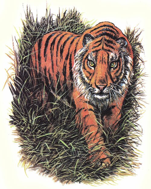 ����. ������� ������������ "��� �����, ��� �����".