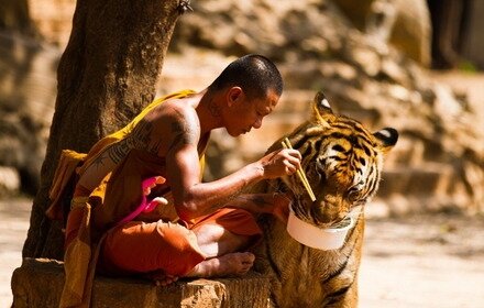 ���� ������ � �������� ����� ��� �������