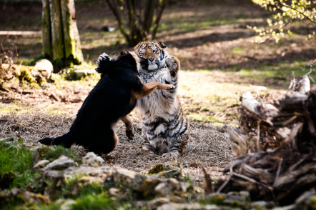 ������� ������ ������ �� �������� ������� ����� �������� � ������