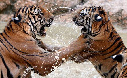 ������ � ����� ����� ������ ������� ����� �����