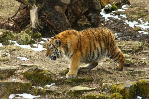 ����� ����� � ����� �� �������� �������