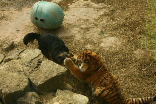 ����� ����� � ����� �� �������� �������