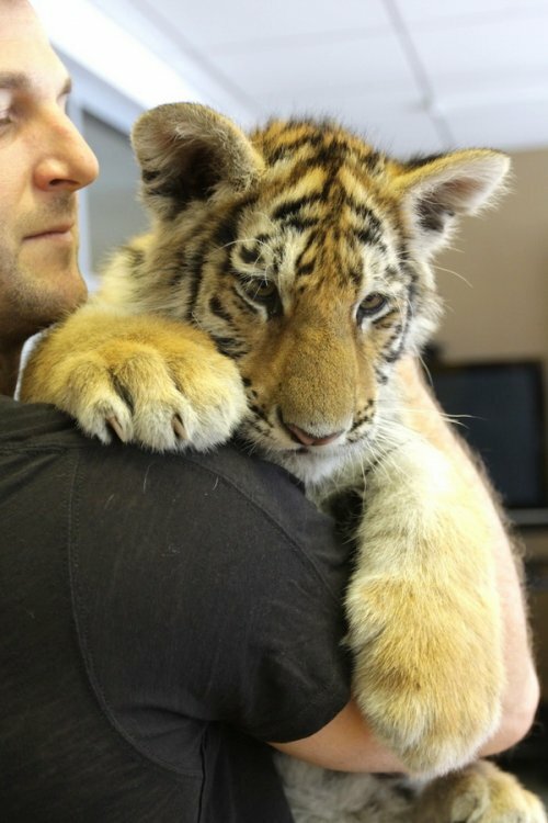 ������� ��� � ����������� ������� ������