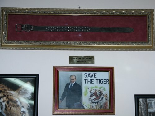 ����� ��������� �������� �������� � ���������� (����)