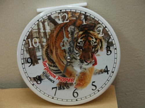 ����� ��������� �������� �������� � ���������� (����)