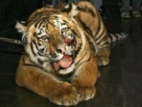 �������� ����� � ���������� ��������� ���� ������