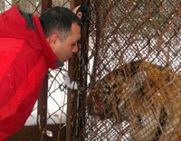 �������� ������ ������������ ����