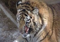 �������� ������ � ����� ����� ������� ���������� ��������