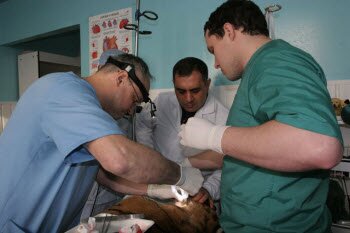 ����� ���� ������� ������ �������� (�����)