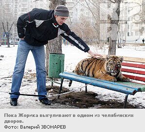 �������� ������ �������� �� ������