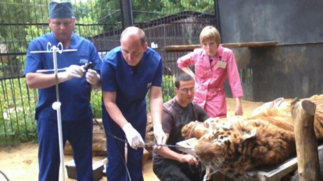 � ���������� �������� ������� ���� �������