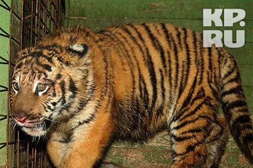 � 8 �������� � ��������� ���� ��������� �����